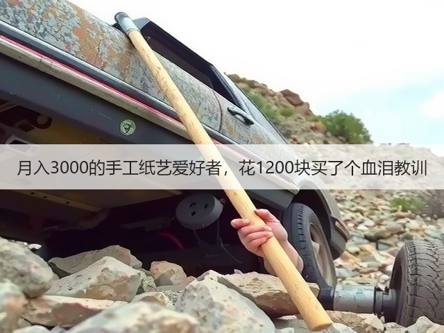 月入3000的手工纸艺爱好者，花1200块买了个血泪教训(图2)