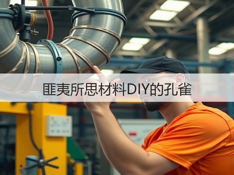 匪夷所思材料DIY的孔雀 - 诺云双维造物网