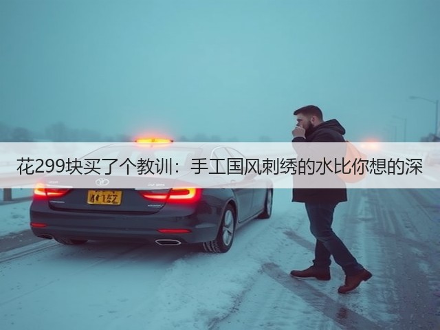 花299块买了个教训：手工国风刺绣的水比你想的深(图2)