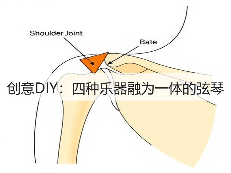 创意DIY：四种乐器融为一体的弦琴 - 诺云双维造物网