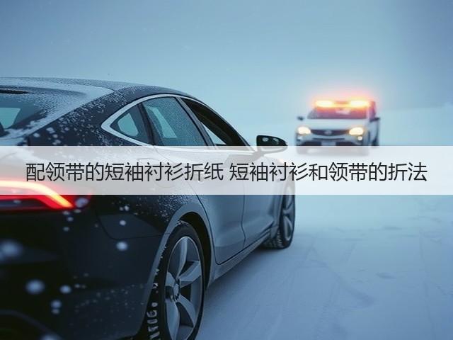 配领带的短袖衬衫折纸 短袖衬衫和领带的折法(图2) 配领带的短袖衬衫折纸 短袖衬衫和领带的折法(图2)