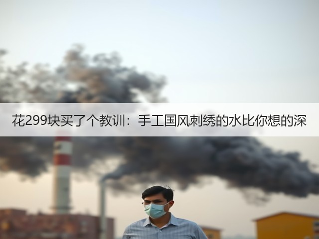 花299块买了个教训：手工国风刺绣的水比你想的深(图2)